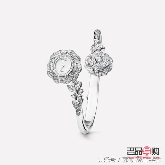 <h3>銀耳美容秘籍：綻放肌膚光彩的秘訣</h3>