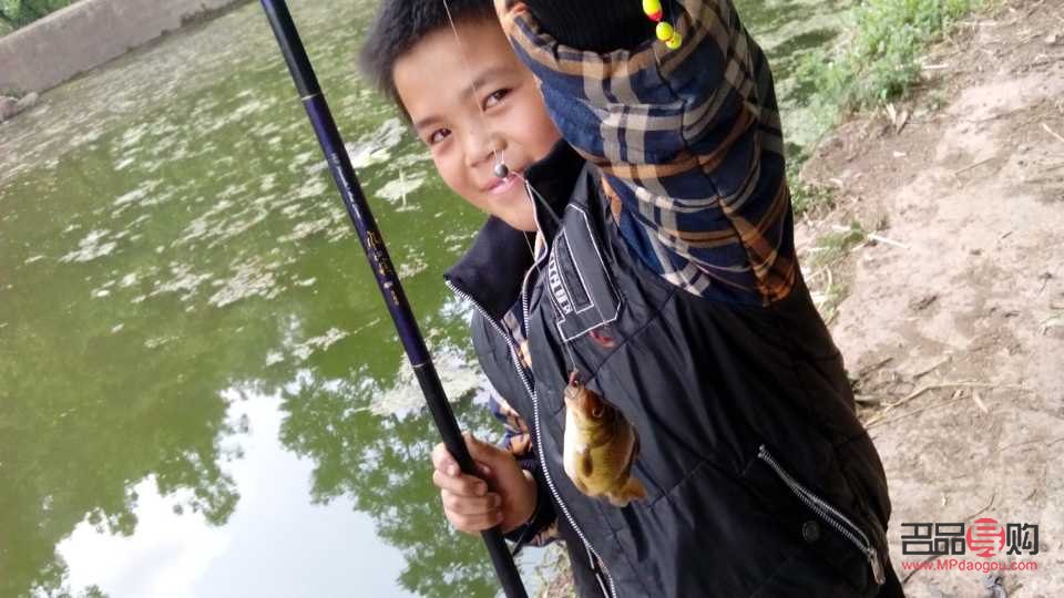 老狗怎樣護(hù)理身體好呢(老狗怎樣護(hù)理身體好呢視頻)