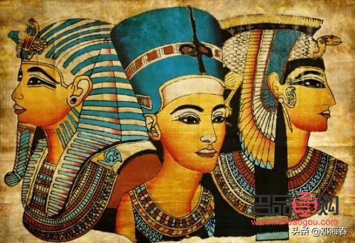 狗狗眼線(狗狗眼線蟲怎么治療)