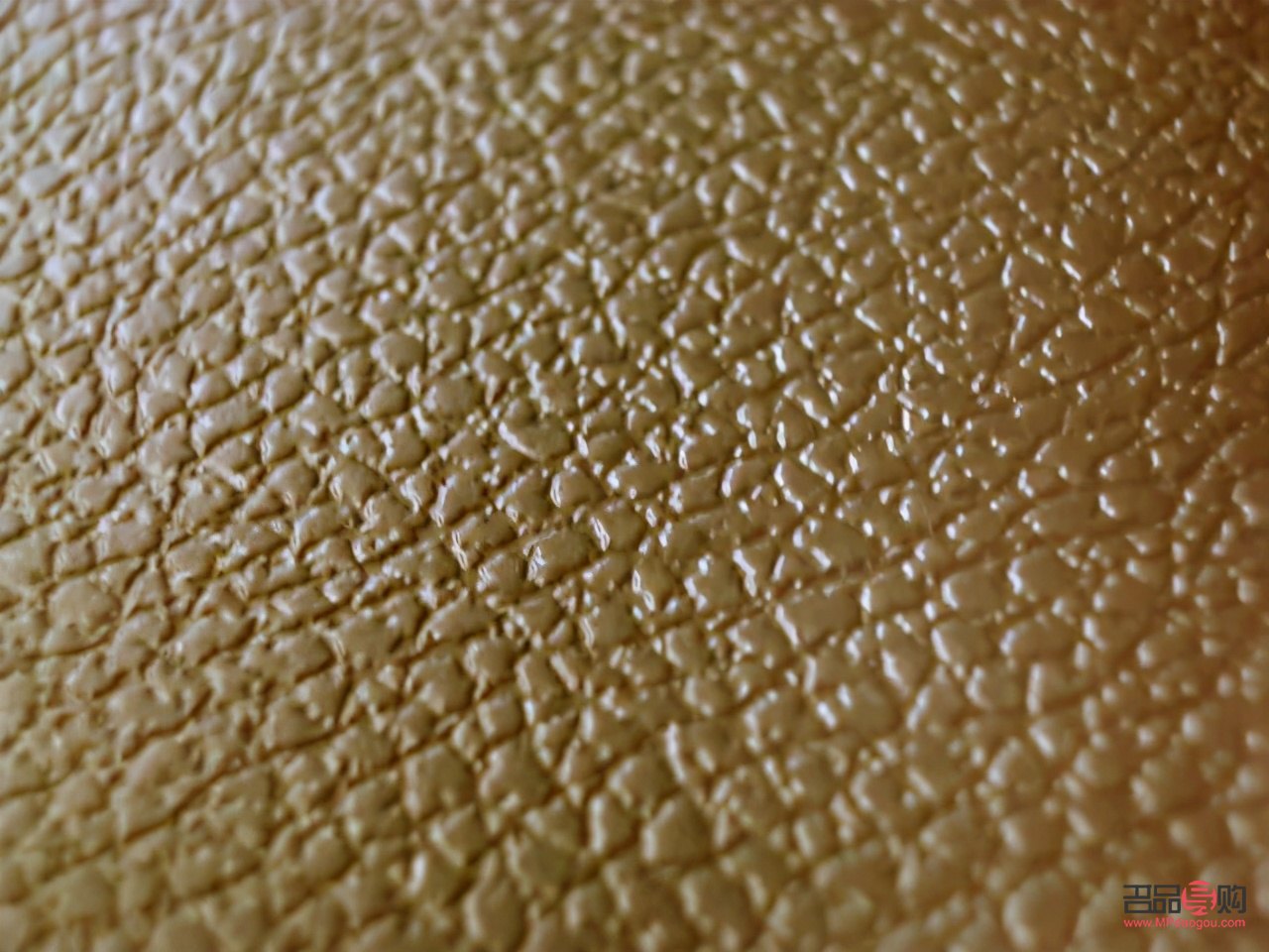 如何對鴕鳥護(hù)理好身體(如何對鴕鳥護(hù)理好身體健康)