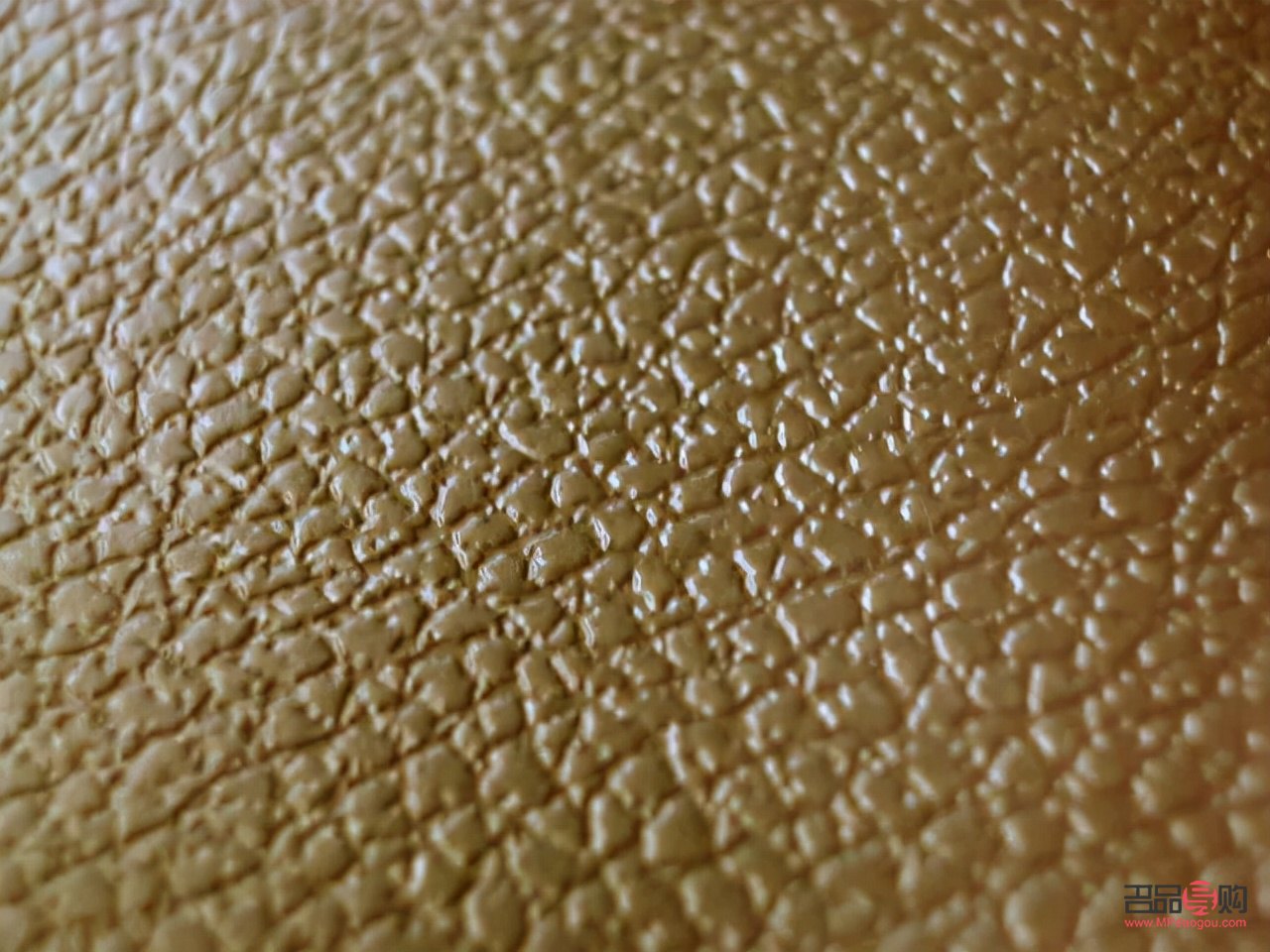 如何對(duì)鴕鳥(niǎo)護(hù)理好身體(如何對(duì)鴕鳥(niǎo)護(hù)理好身體健康)