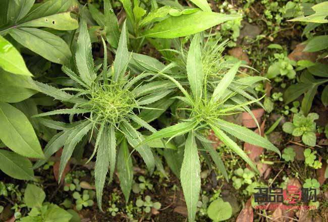 怎么把身體護(hù)理的光滑(怎么把身體護(hù)理的光滑去掉)