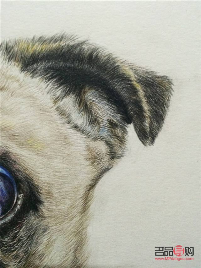 <h3>狗的眼睛怎么畫好看簡單</h3>