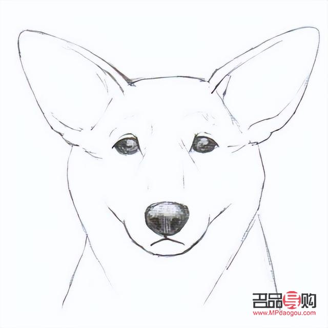 <h3>狗的眼睛怎么畫好看簡單</h3>