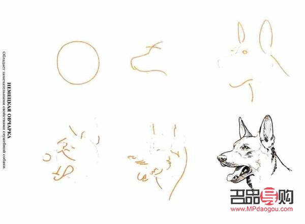 狗的眼睛怎么畫好看簡單