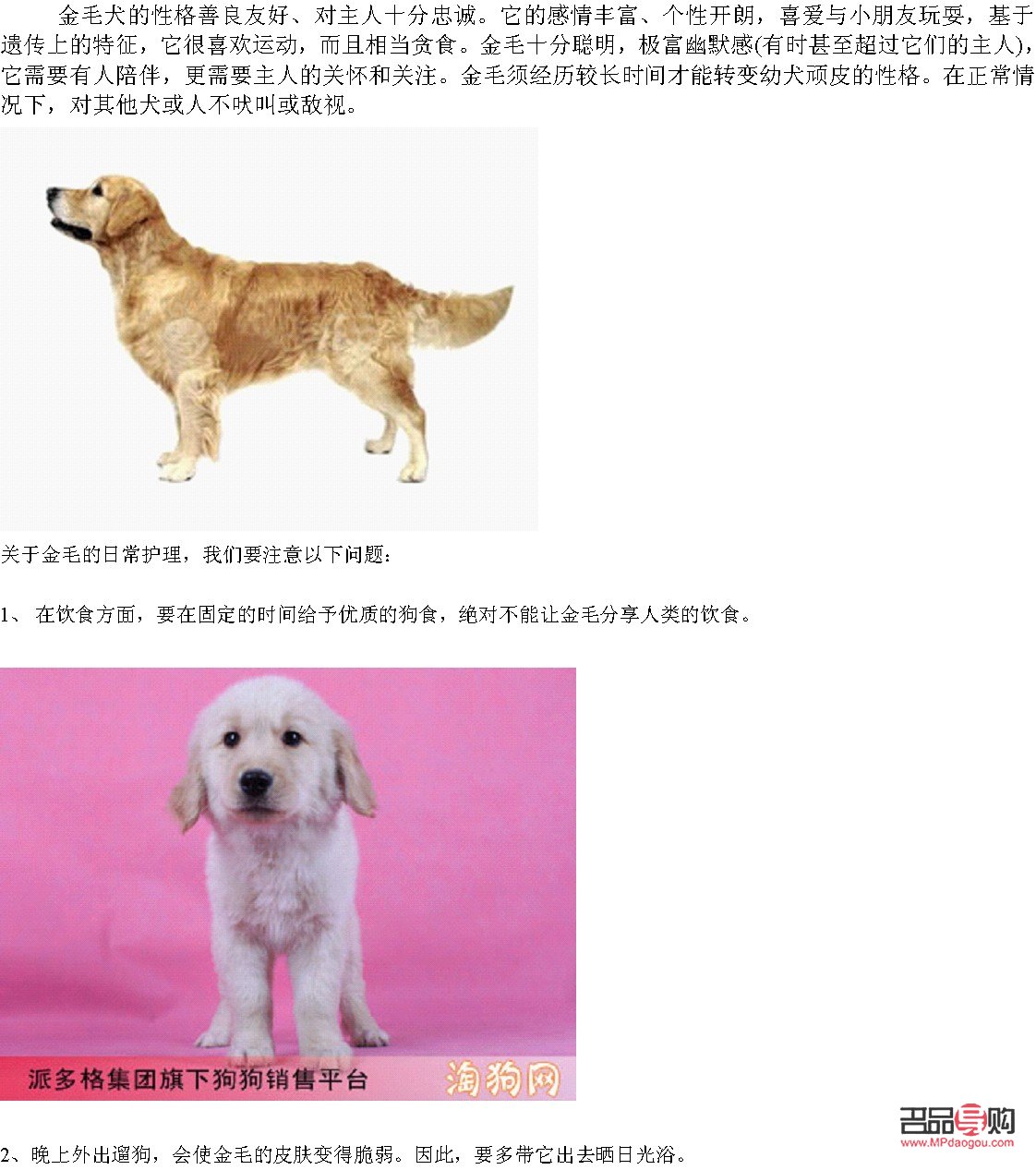 <h3>金毛護(hù)理身體全攻略</h3>