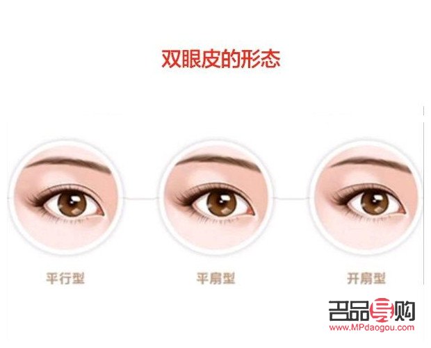 雙眼皮有幾款圖片(雙眼皮有幾種款式圖)