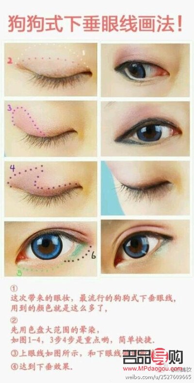狗狗眼適合什么臉型(狗狗眼適合什么眉形)