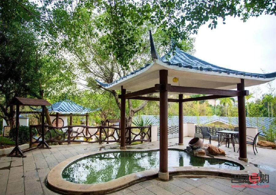 何首烏美容嗎(何首烏美容嗎有效果嗎)