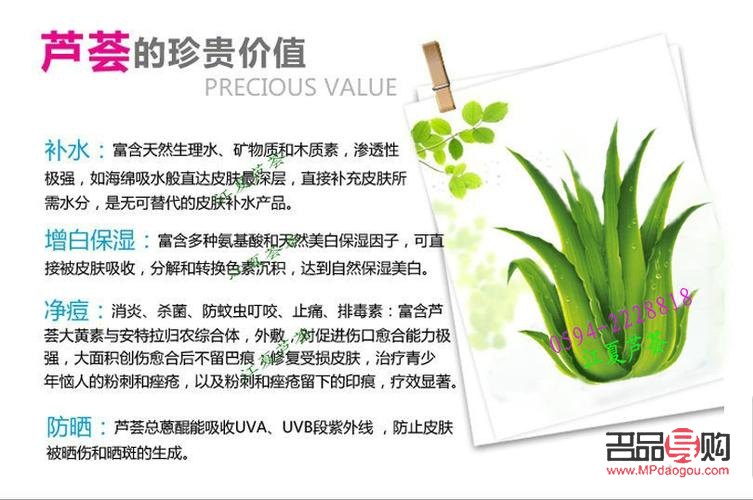 <h3>美容蘆薈的種類及其獨(dú)特功效</h3>