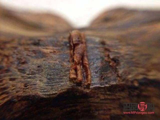 奇楠與美容：傳統(tǒng)香材的新用途