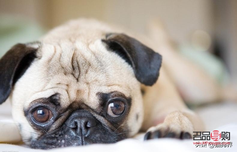 身體護理太頻繁好嗎(身體護理太頻繁好嗎女生)