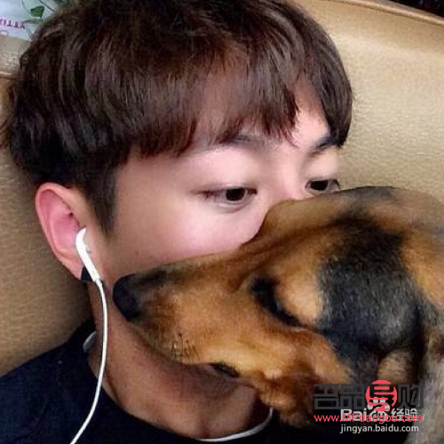 <h3>下垂狗狗眼的男生面相深度解析</h3>