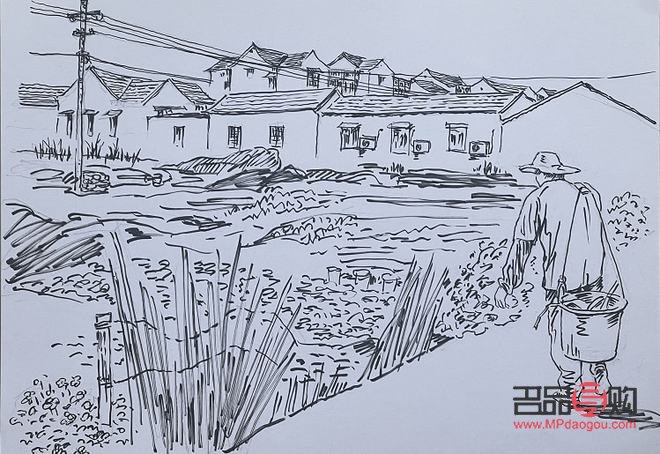 速寫生日禮物是啥啊(速寫生日禮物是啥啊圖片)