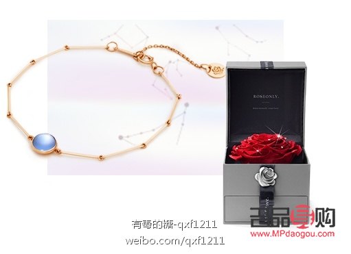 <h3>24元預算，精選心意禮物指南</h3>