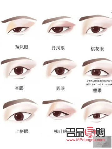 <h3>探索眼型奧秘：解讀不同眼型特征與魅力</h3>