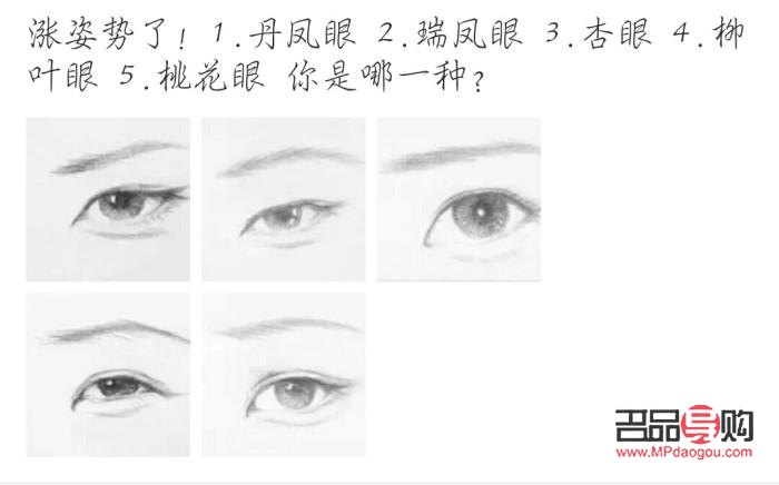 探索眼型奧秘：解讀不同眼型特征與魅力