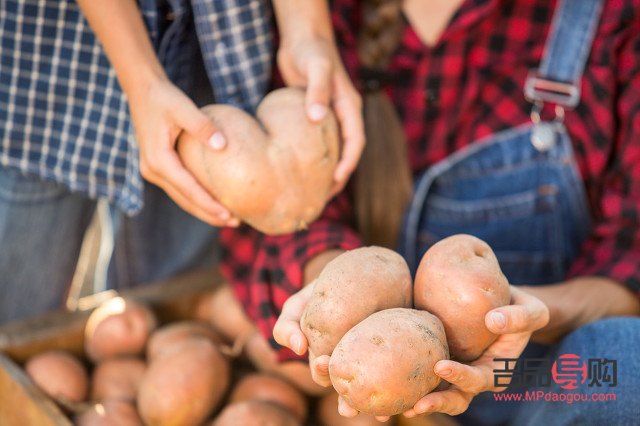 賣菜的過年發(fā)什么禮物(賣菜的過年發(fā)什么禮物好)