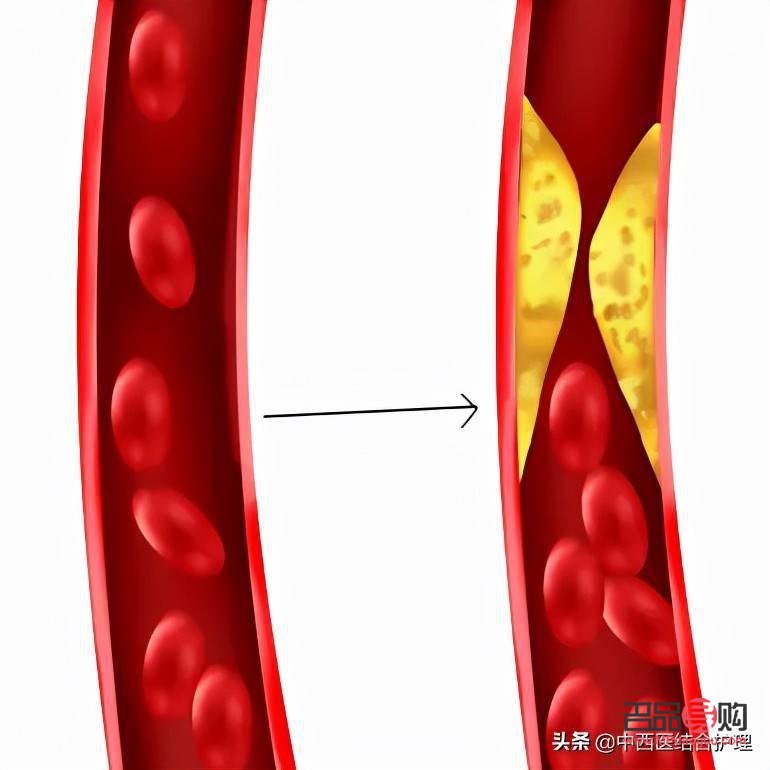 <h3>身體乳與手部護理：一種多功能的護膚選擇</h3>
