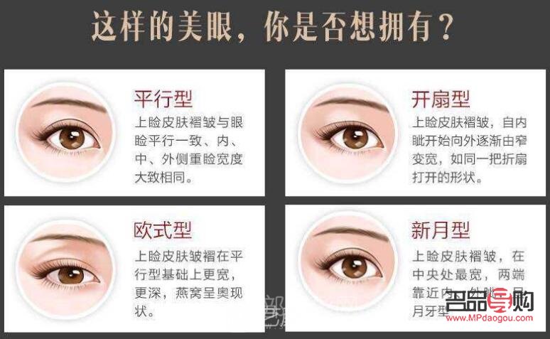 雙眼皮各種眼型(雙眼皮各種眼型圖片)