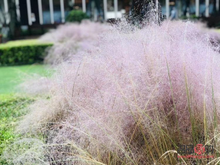 粉黛彩妝盤怎么盤(粉黛彩妝盤怎么盤好看)