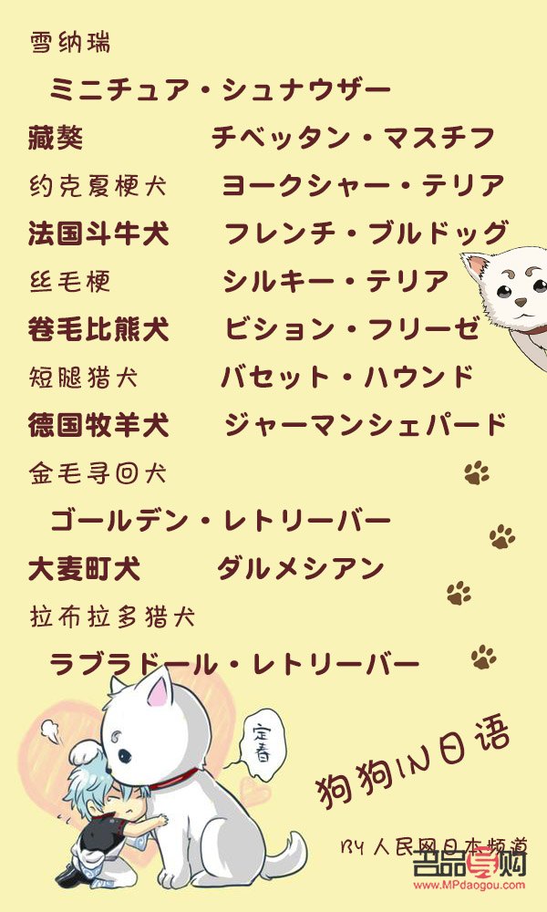 <h3>犬美容日語怎么說？學(xué)習(xí)犬美容專業(yè)術(shù)語與實(shí)用表達(dá)</h3>