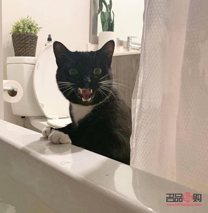 怎么畫日常彩妝瓶(怎么畫日常彩妝瓶圖片)