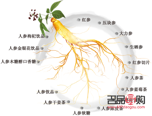 人參的美容功效深度解析