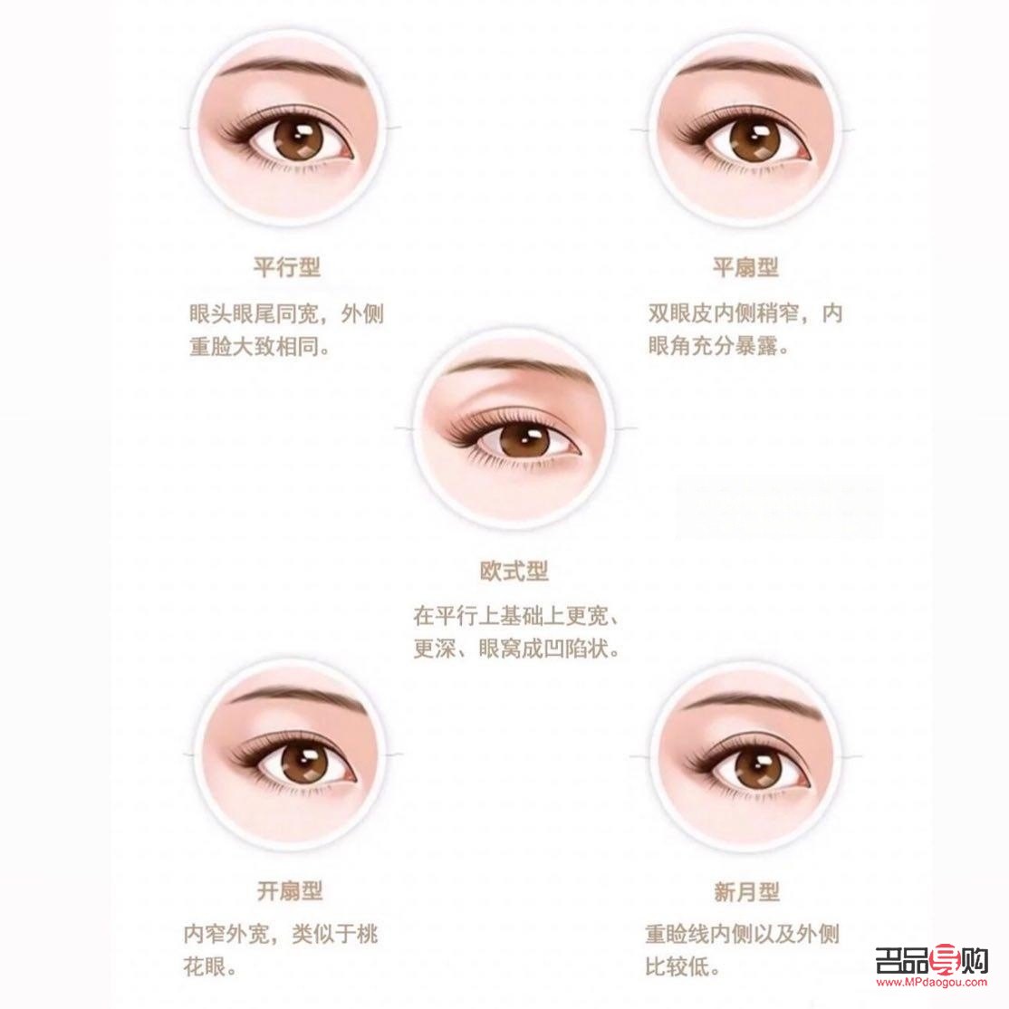 雙眼皮最好看的眼型大揭秘