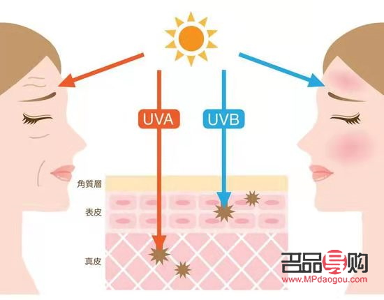 <h3>干細(xì)胞美容：重塑青春的神話還是現(xiàn)實(shí)？</h3>