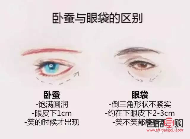 何為臥蠶眼(什么叫臥蠶眼睛)