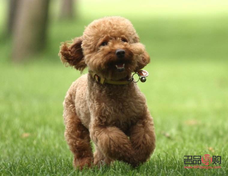 美容院信得過嗎(美容院能相信嗎)