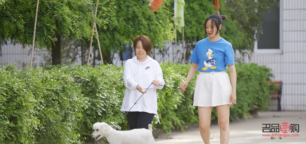 怎么學(xué)習(xí)寵物美容(自學(xué)寵物美容的方法)