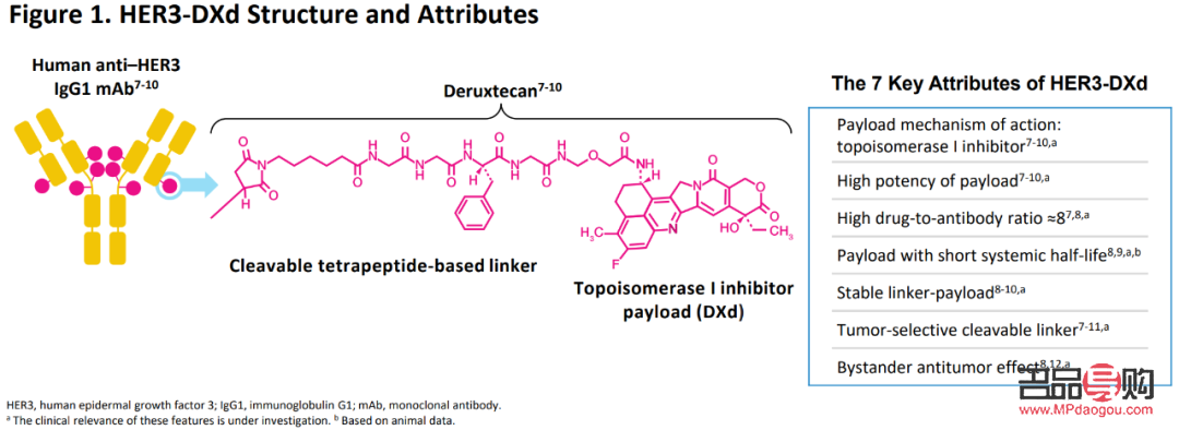 <h3>化療期間的身體護(hù)理指南</h3>
