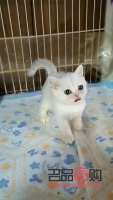 身體除毛后的護(hù)理秘訣