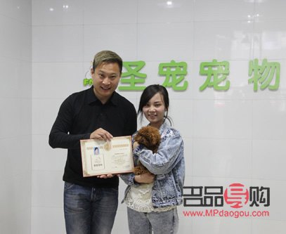 學(xué)寵物美容的優(yōu)勢與前景