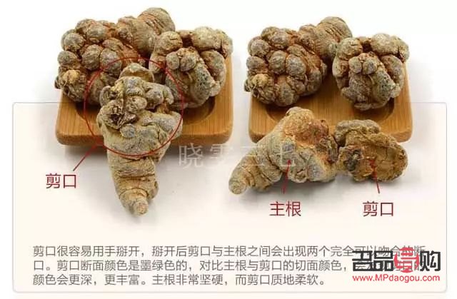 三七美容么(三七美容嗎?)