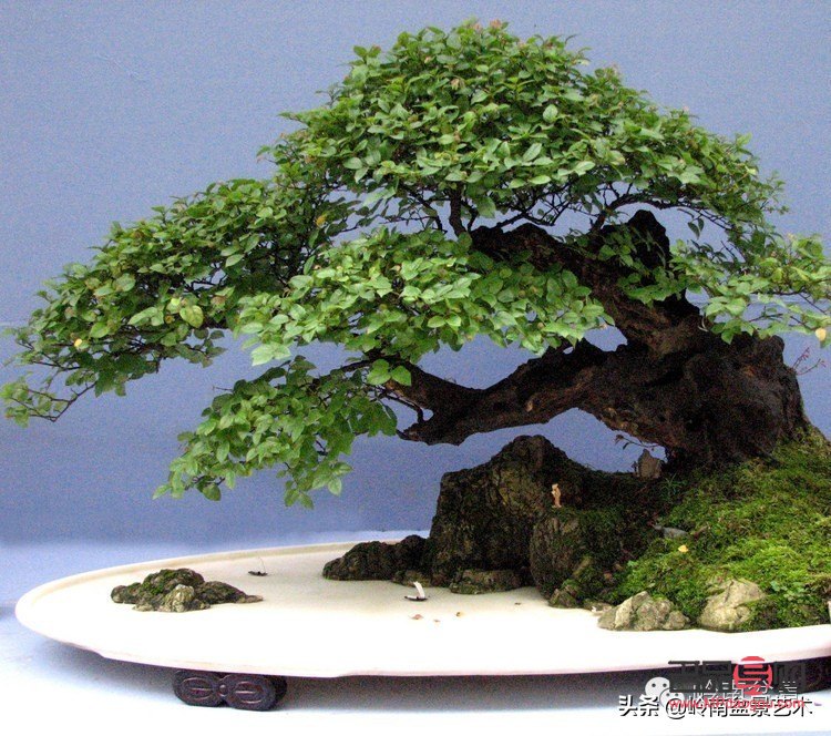 <h1>全面解析身體護(hù)理的方方面面</h1>