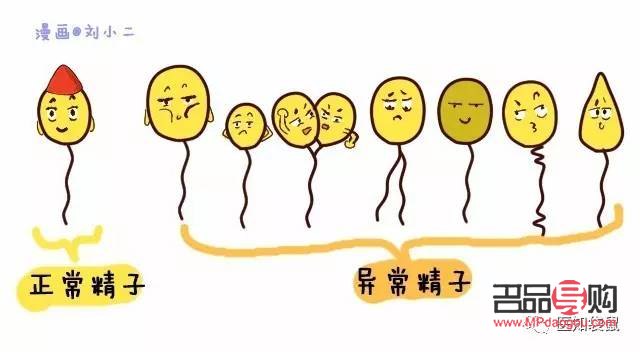 <h3>精子可以美容么？科學(xué)解讀精子與美容的關(guān)系</h3>