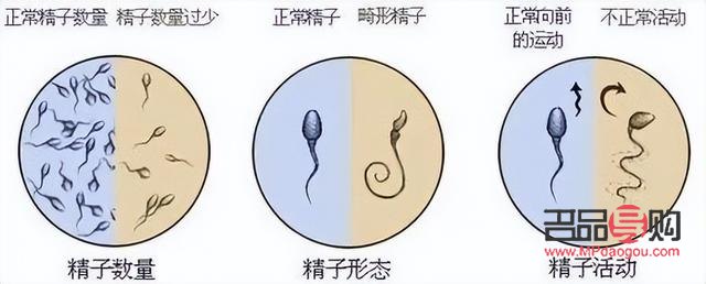 <h3>精子可以美容么？科學(xué)解讀精子與美容的關(guān)系</h3>