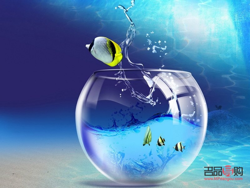 孕婦怎么做身體護理(孕婦怎么做身體護理最好)