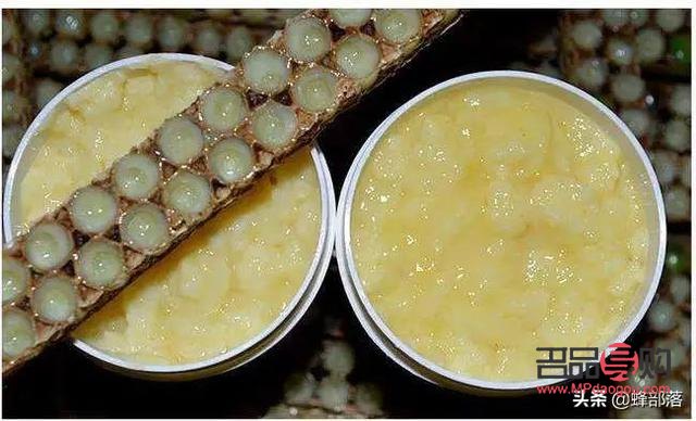 蜂皇漿美容功效探究，自然養(yǎng)顏新選擇