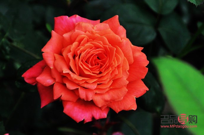 <h3>法國回中國帶什么禮物？這些精選讓你倍兒有面子！</h3>