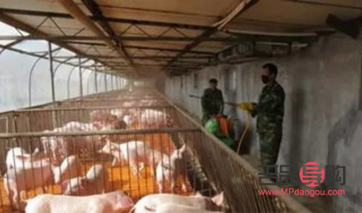 彩妝刷子如何消毒(彩妝刷子如何消毒處理)