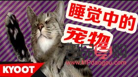 身體有雞皮怎么護理好