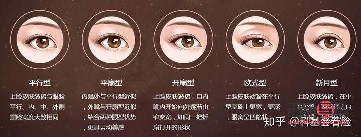 雙眼皮多寬最好看：探討理想雙眼皮寬度