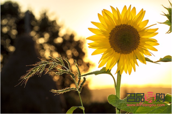 美容師要什么手法(美容師要什么手法才能做)