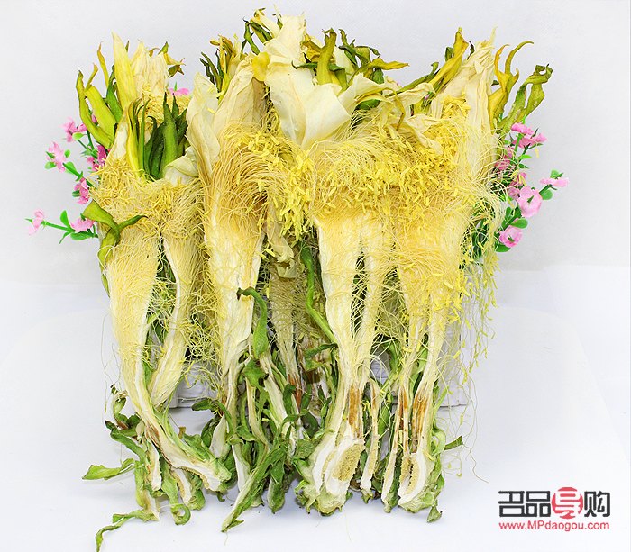 沒(méi)學(xué)美容學(xué)什么？探索美容之外的多元技能之路