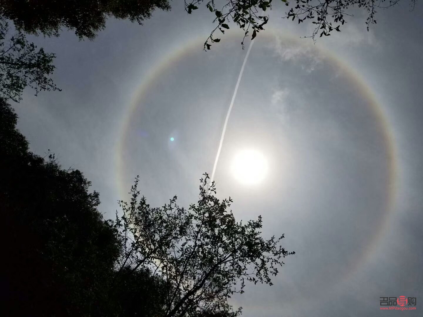 <h3>太陽曬了怎么護理身體</h3>