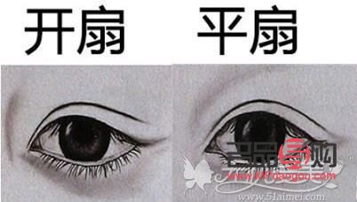 雙眼皮扇形和平扇的區(qū)別圖片(雙眼皮扇形和平扇的區(qū)別圖片對比)